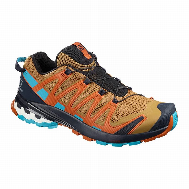 Zapatillas Trail Running Salomon Hombre Azul Marino / Azules - Salomon Argentina XA PRO 3D V8 ,82096